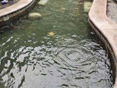 -威海天沐温泉度假区
