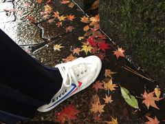 -金泽21世纪美术馆