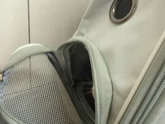 -半岛宠物医院24小时(白果林店)