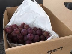 -美家乐农庄·露营·团建(大治路店)