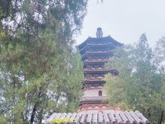 -天宁寺