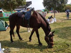 -武汉紫薇都市田园