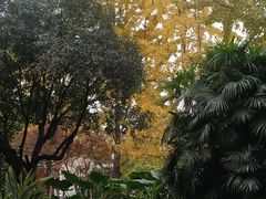 -重庆富力艾美酒店