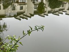 -丝绸小镇荻港古村