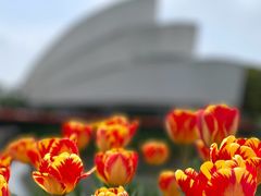 -上海鲜花港