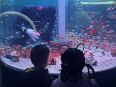 -海合安成都极地海洋公园