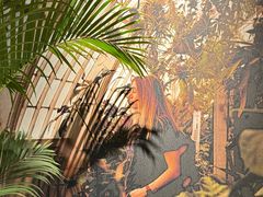 -Wagas沃歌斯(枫蓝国际店)