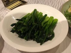 有机蔬菜-朝(澳门伦敦人店)