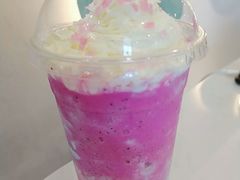 -飞行喵MR PILOT|猫舍·猫咖(静安大融城店)