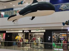 -上海颛桥万达广场
