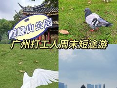 -顺峰山公园