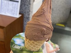-野人先生Gelato(上海长宁龙之梦店)