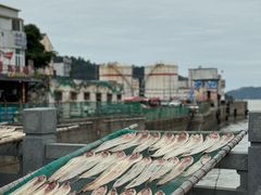 -东沙渔村