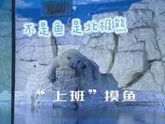 -大连老虎滩海洋公园