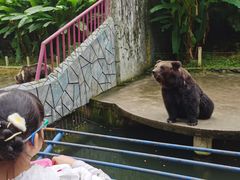 -贵州森林野生动物园