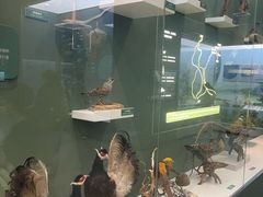 -国家自然博物馆