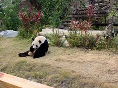 -灵玲国际马戏城