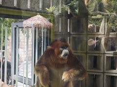 -北京野生动物园