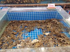 水产区-牛道烤肉海鲜自助