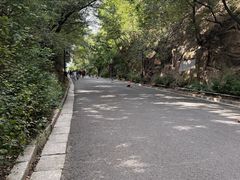 -北山公园