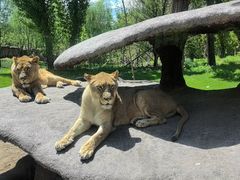 -北京野生动物园