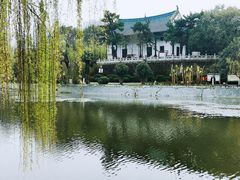-月湖风景区