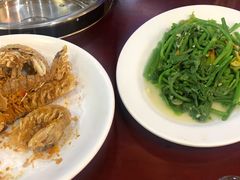 -天鹰观渔(梦园店)