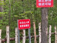 -峡谷浮石林景区