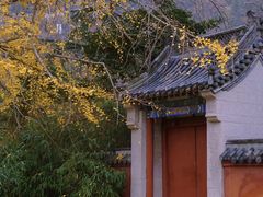 -崂山九水游览区