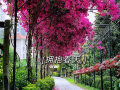 -青青世界