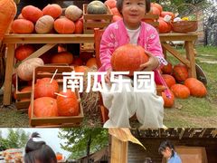 -HERRE·FARM 赫尔露营农场·团建聚会包场