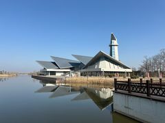 -盐城丹顶鹤湿地生态旅游区