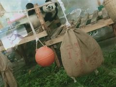 -无锡动物园·太湖欢乐园