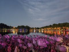 -悦界酒吧(后海店)