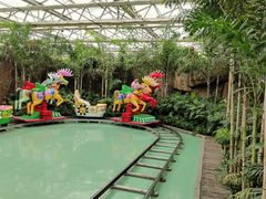 -南宫五洲植物乐园