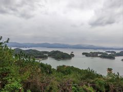 -浔味·山屿湖·正宗淳牌全鱼宴老字号