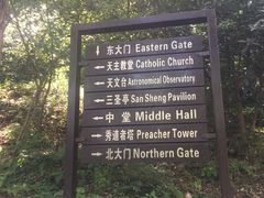 -上海佘山国家森林公园西佘山园