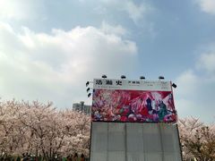 -龙美术馆(西岸馆)