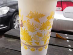 四季奶青-1点点(千岛湖二店)