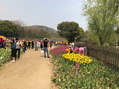 -白马涧龙池景区