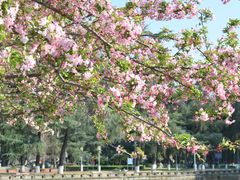 -四川大学(望江校区)