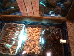 -顺峰(南二环店)