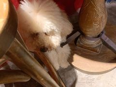 -静香HOUSE·全时段融合餐厅(七星欢乐颂店)