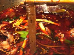 -宽口美蛙鱼头(大唐西市店)
