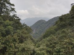 -广州市石门国家森林公园