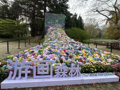 -上海共青森林公园