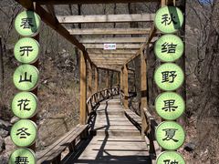 -大岭沟猕猴桃谷风景区