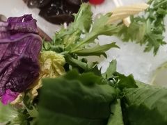 -百草滩羊清水涮羊肉·清真·宁夏盐池滩羊(莲花桥店)