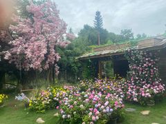 -HERRE·FARM 赫尔露营农场·团建聚会包场