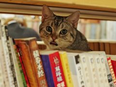 -小时光咖啡馆(开森度假森林店)